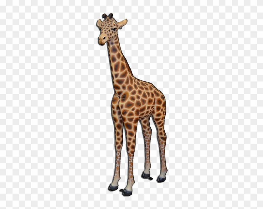 Download Giraffe Afd Home Decorative Baby Giraffe 11147235 Free Transparent Png Clipart Images Download