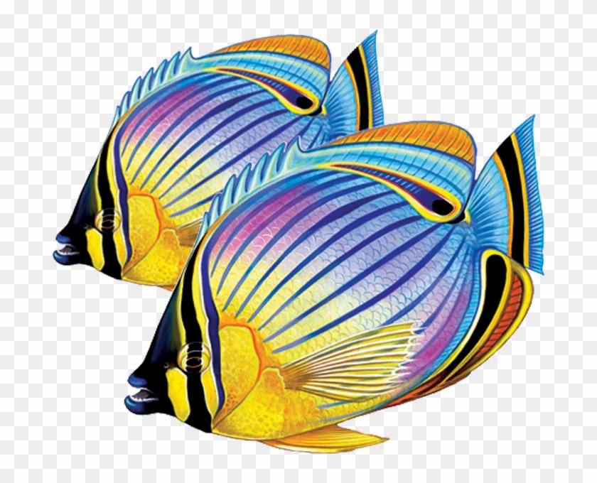 Butterflyfish Clipart Transparent - Illustration #1205374