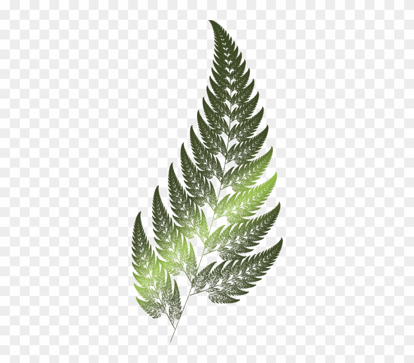 The Fern Is One Of The Basic Examples Of Fractals - Barnsley Fern #1207809