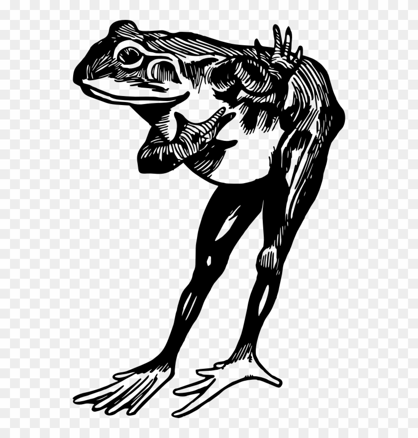 Medium Image - Green Frog #1208422