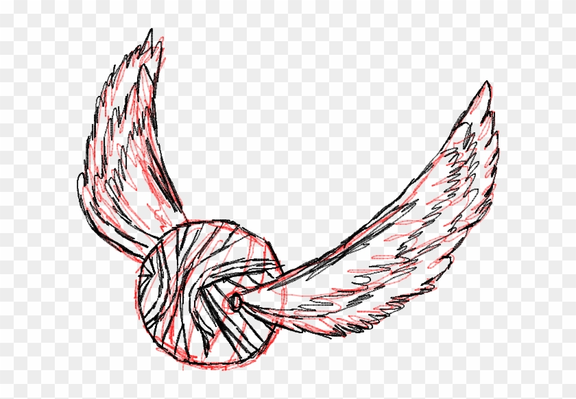 golden snitch outline
