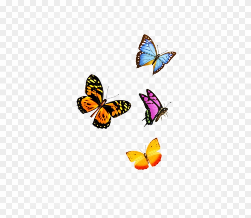 Flying Butterfly Png Image Background - Fly Butterfly Transparent Png -  Free Transparent PNG Clipart Images Download