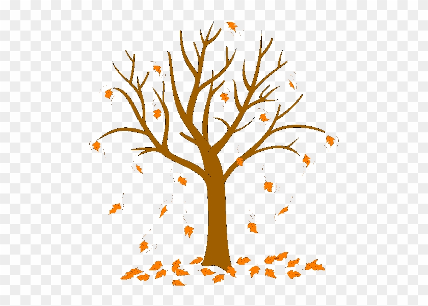 cartoon fall tree with branches
