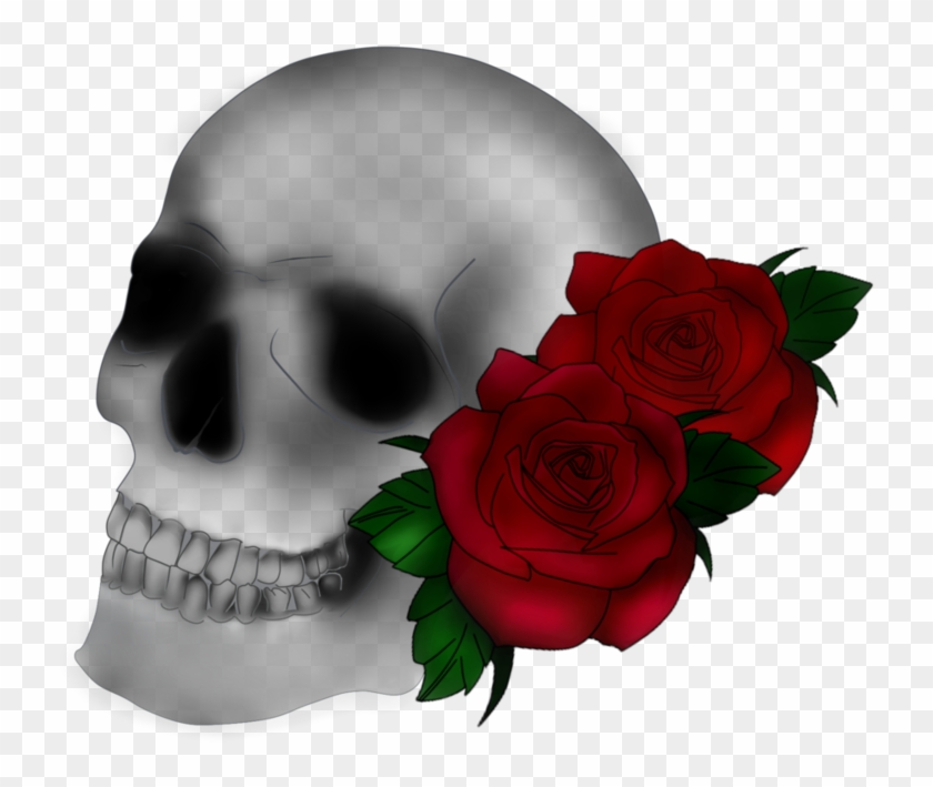 Skull N Rose By O0oalexao0o - Skull #1214522