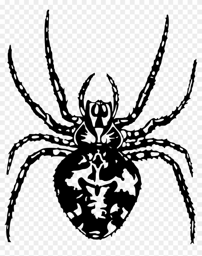 Spider2 Bclipart Araignee Dessin Free Transparent Png Clipart Images Download