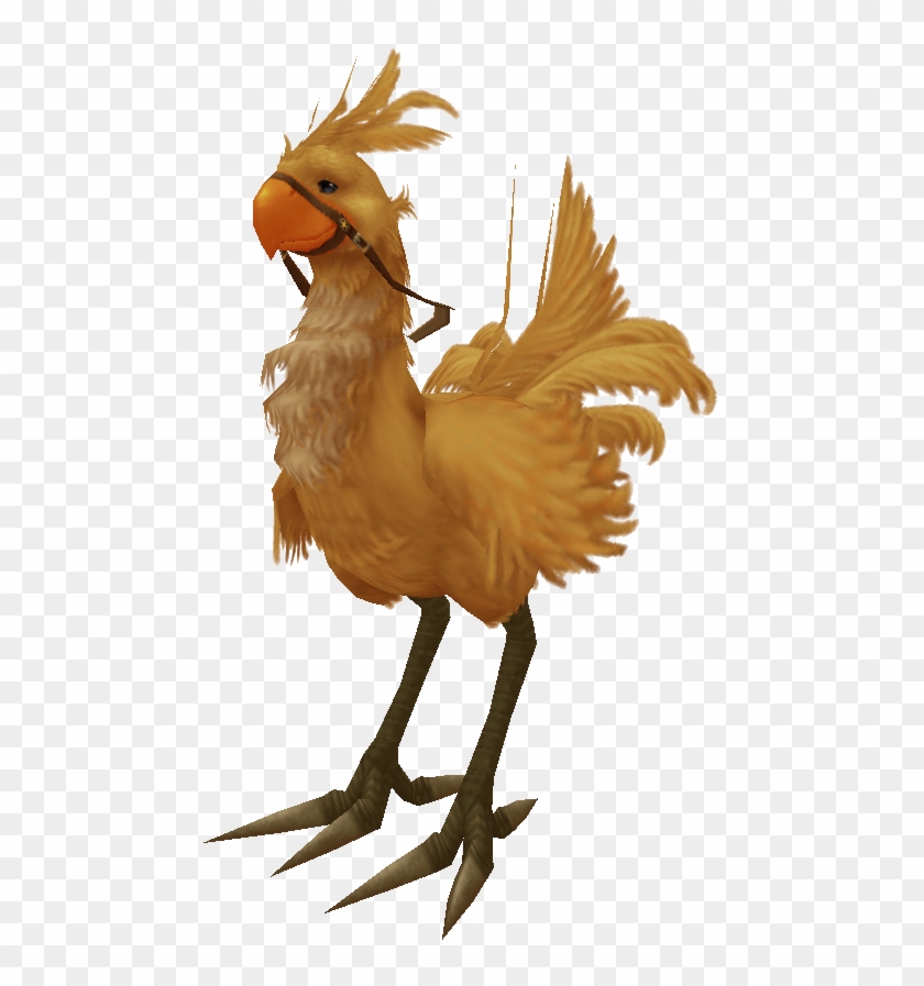 1 - Chocobos - Chocobo #1216984