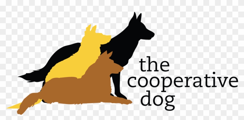 The Cooperative Dog Logo - Logo #1217375