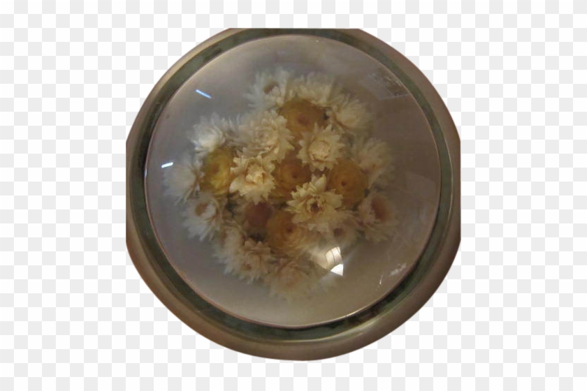 Victorian Dried Flowers Glass Paperweight - Chrysanths #1220204