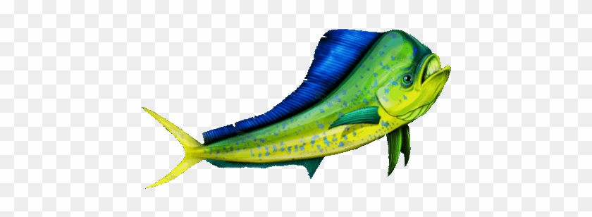 Let's Go Fishing - Bull Mahi Rectangle Magnet #1221988