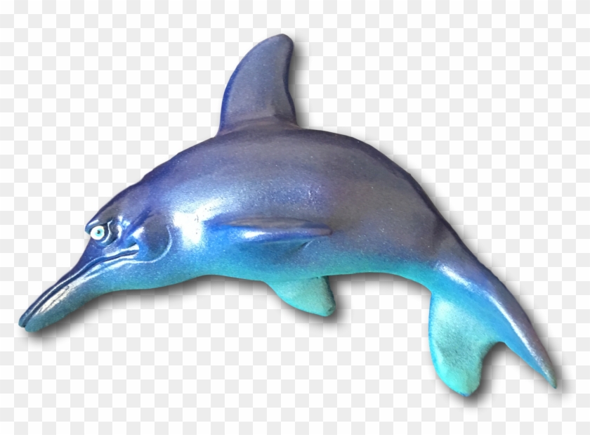 Dolphin Fish Essay In English For S - Dolphin Fish #1222023