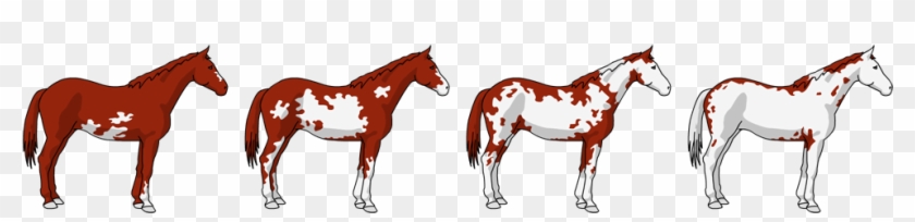 The Overo Is A Dark Coloured Horse With White Markings - Mane #1223172