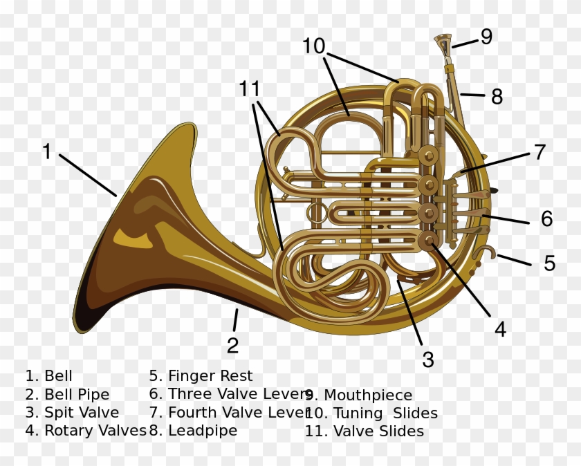 File - Carynprice-french Horn - Svg - Alat Musik Modern #1223211