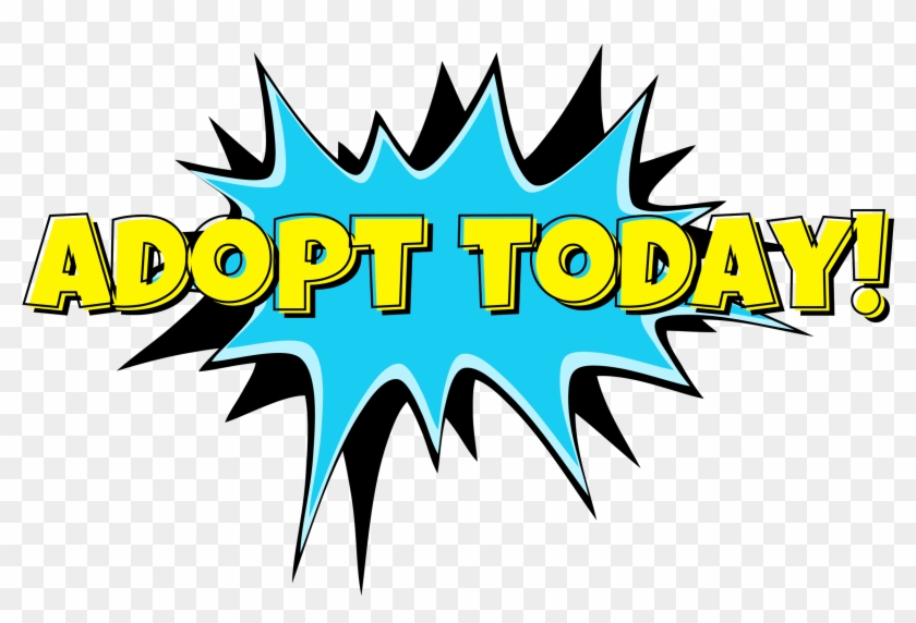 "adopt Today" Transparent Clip Art - Graphic Design #1223740