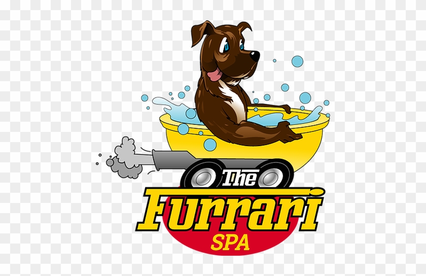 Dog Grooming Patterson Lakes - The Furrari Spa #1225124