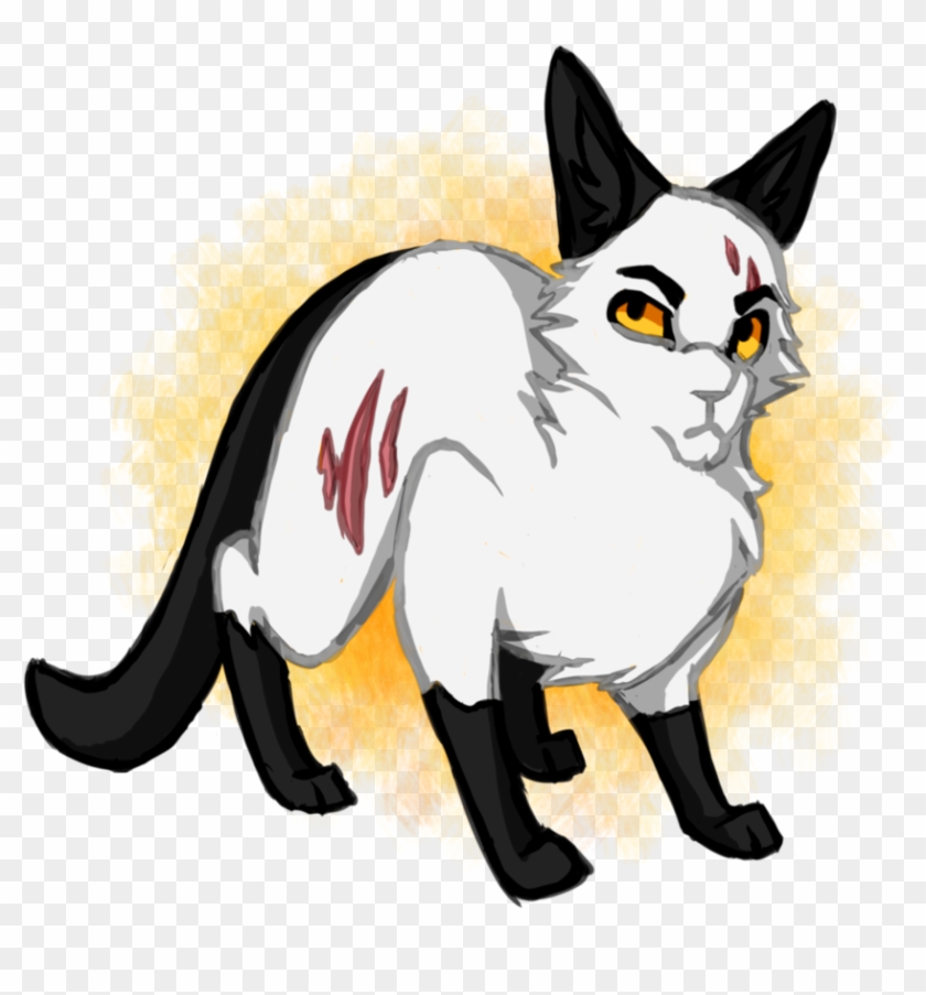 Warrior Cats Challenge - Devon Rex #1228783