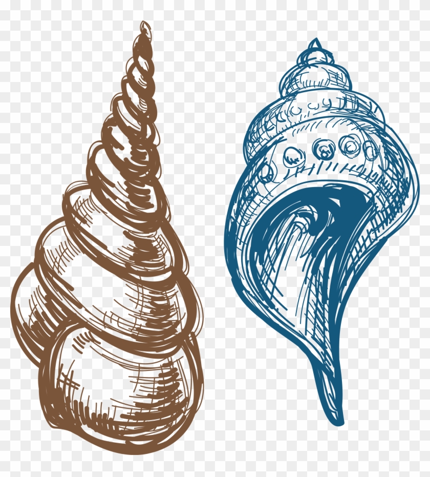 Caracola Clip Art - Caracola Clip Art #1230095