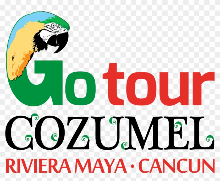 Go Tour Cozumel - Go Tours Cozumel #1230160