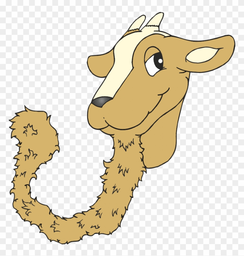 Kiko Goat Goats Clip Art - Clip Art #1230702