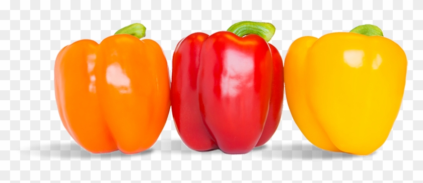 Tap The Peppers To Unveil The Facts - Red Orange Peppers Png #1233613