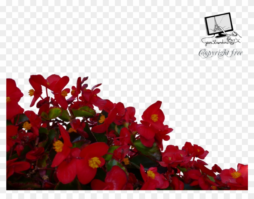 Red Flowers Png By Jean52 On Deviantart - Red Flowers Png #1234448