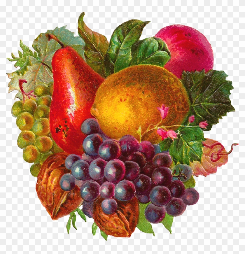 Mixed Fruit Clip Art - Fruit Vintage Png #1235274