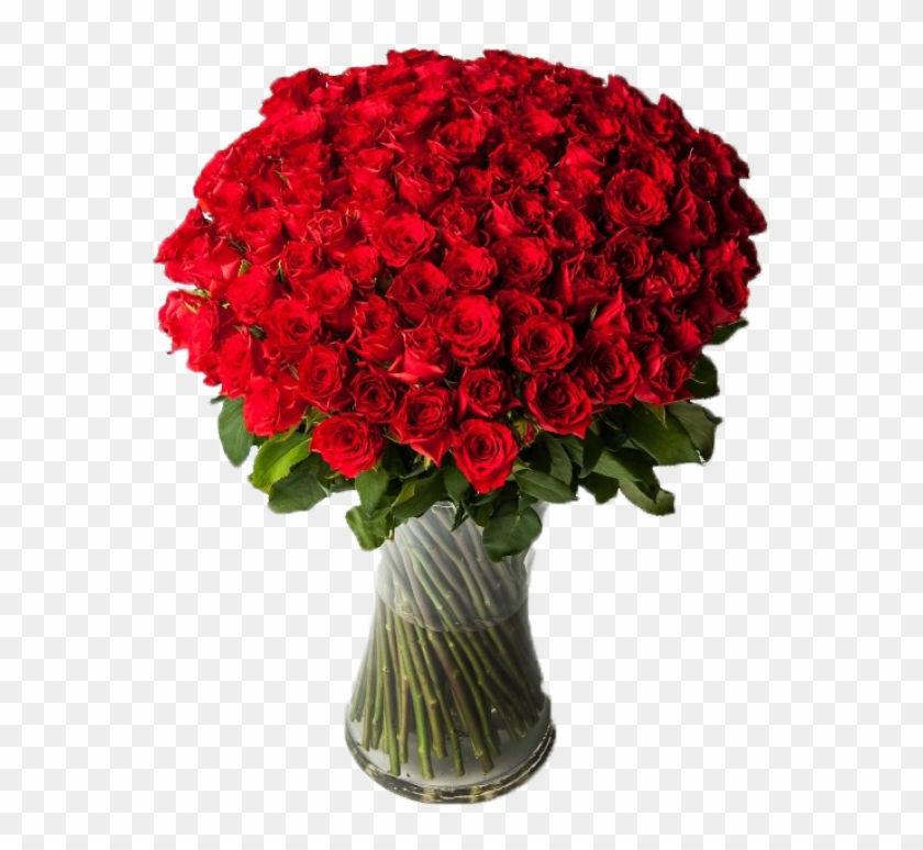 100 Red Roses - 100 Roses #1235431