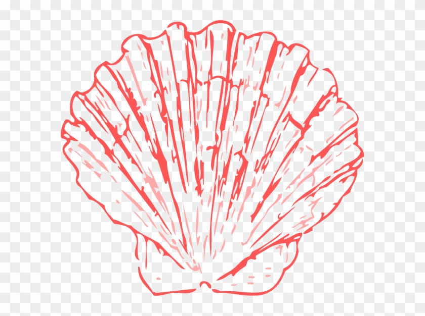 Shells Drawing #1235690