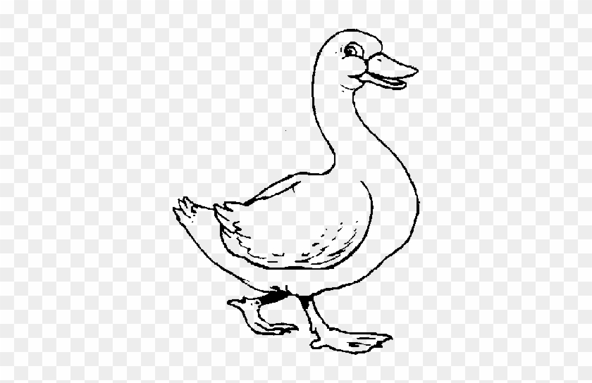 76 Http - //cdn5 - Dibujos - Net/dibujos/pintar/pato - Goose Coloring Page #1236193