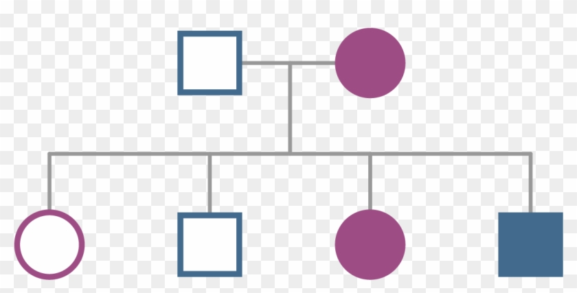 Fabry Disease Diagram Of Segregation Of X-linked Trait - Circle #1238322