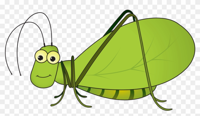 Kevin The Katydid - Grasshopper #1241855