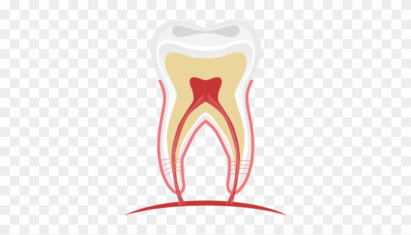 Hidroxido De Calcio Endodoncia #1245790