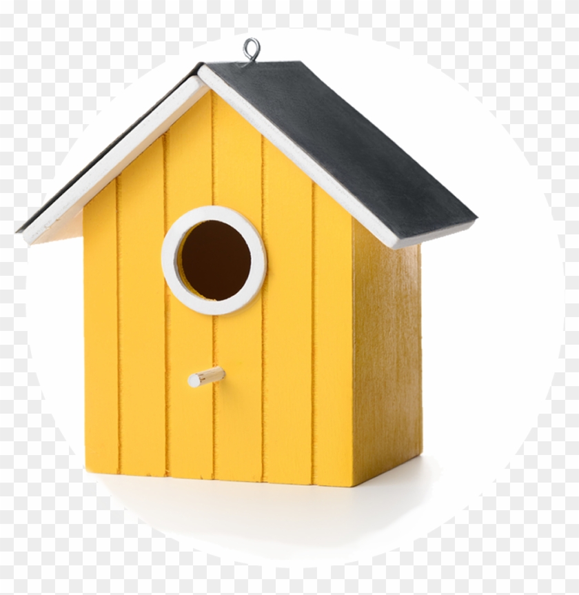 Bird Box Png #1246490