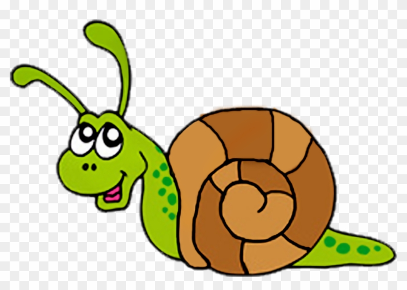 Snail Clip Art - Clip Art #1248395