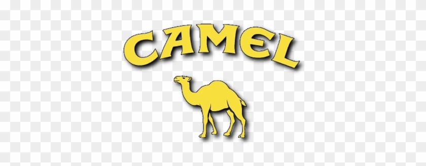 Yükle Camelogame, Camel, Univers 5, Métal, Cristal, - Camel #1249527