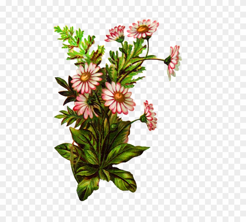 Flower Bouquet Decoration - Flowers Bouque Png #1256691