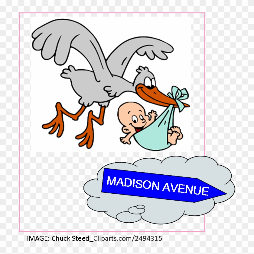 Stork Baby To Madison Avenue - White Stork #1257840