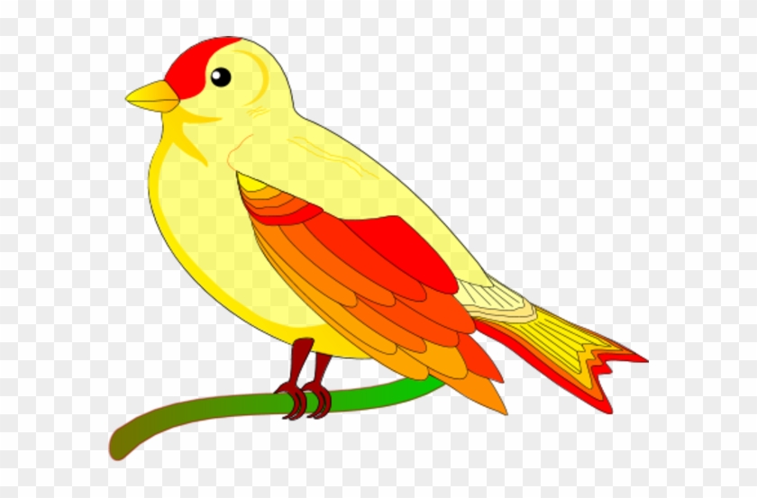 Bird Clipart - Animated Pictures Of Bird #1260074