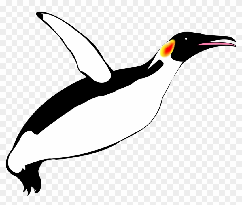 Flying Penguin Penguin Penguins Png Image - Flying Penguin Png #1263957