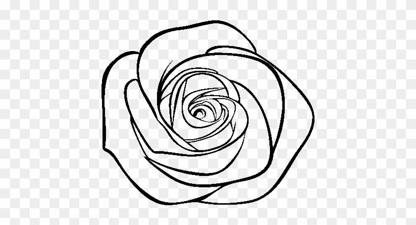 Rose Flower Coloring Page Drawing Of Rose Png Free Transparent Png Clipart Images Download