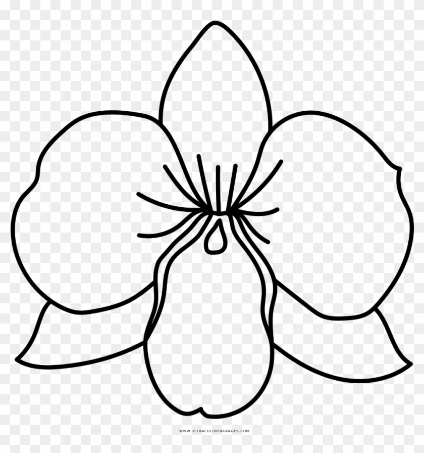 Picture Orchid Colouring Pages With Coloring Page Ultra - Dibujo De  Orquidea Para Colorear - Free Transparent PNG Clipart Images Download