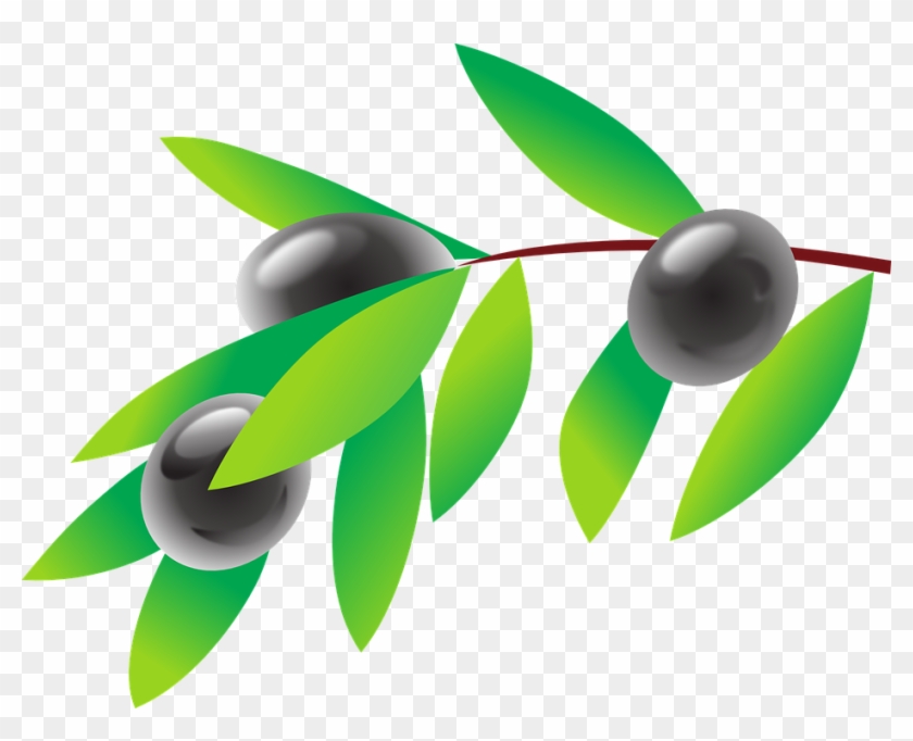 Tree, Branch, Olive, Oil, Cooking, Vegetable - Olives Clipart #202214