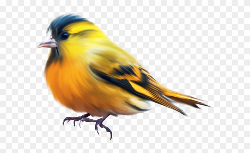 Explore Yellow Animals, Bird Clipart And More - Painted Bird Png #1269701