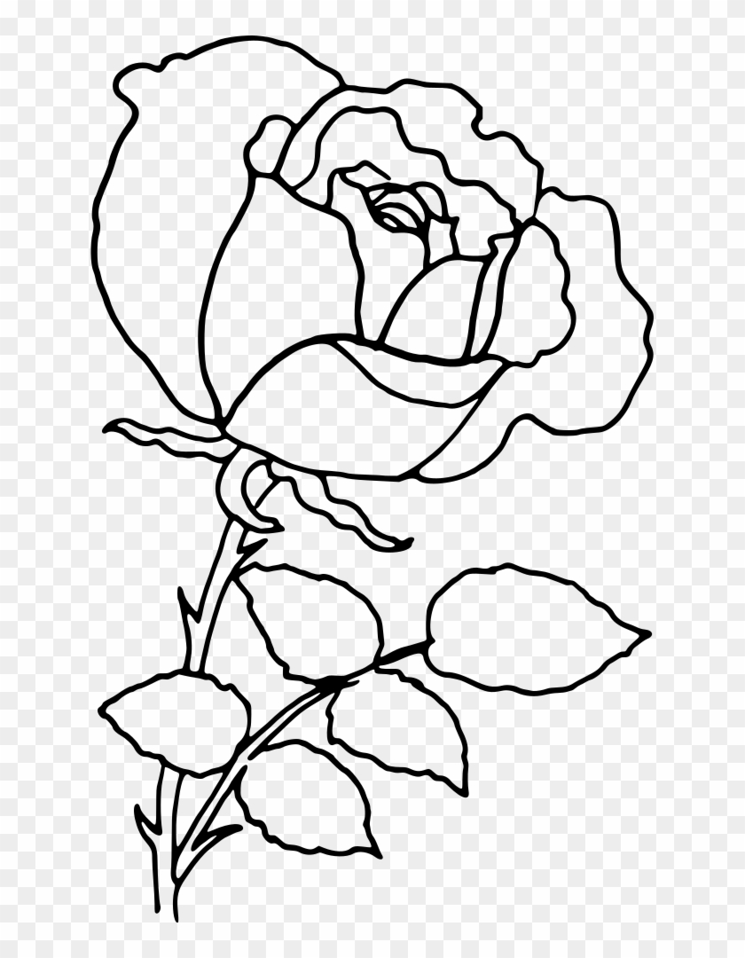 How to Draw a Rose Step by Step Tutorial - EasyDrawingTips
