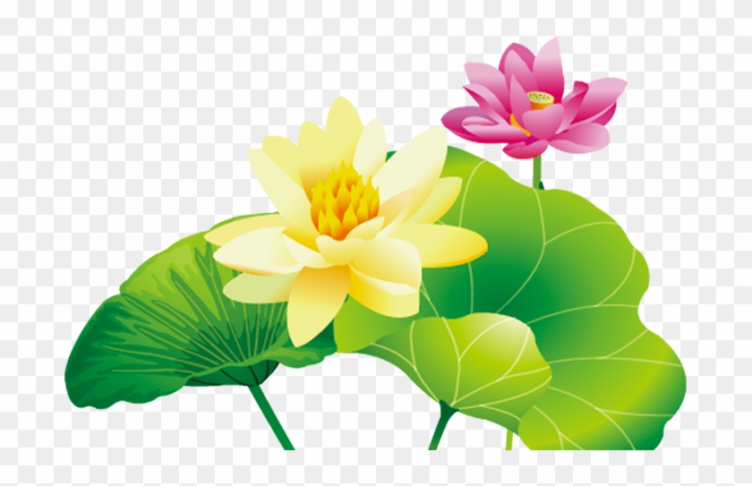 Inner Mongolia Ningxia Nelumbo Nucifera Clip Art - Portable Network Graphics #1272133