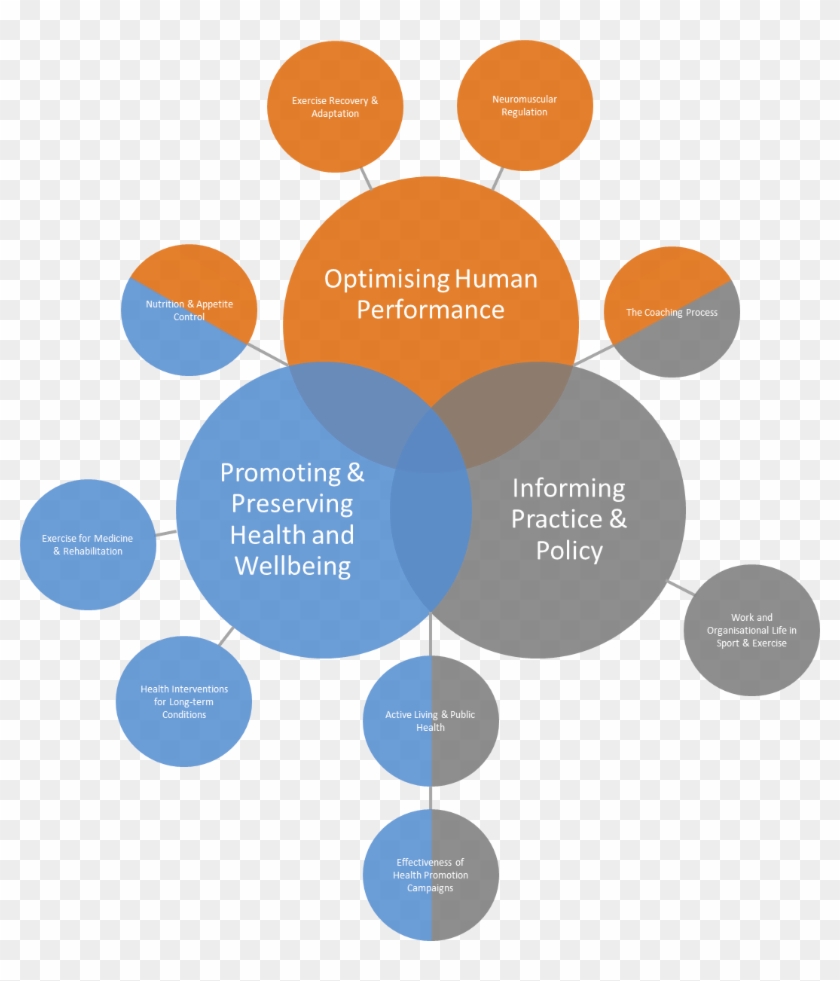 The Department Of Sport, Exercise And Rehabilitation - Research Areas In Biomechanics #1272417