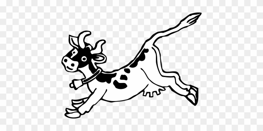 Cow, Animal, Mammal, Running, Jumping - Jumping Cow Clip Art #1275570