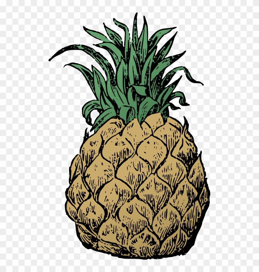 Medium Image - Pineapple #1277416