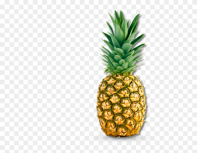 Bringing Better Quality Smoothies And Supplements To - Pineapple Large #1277438