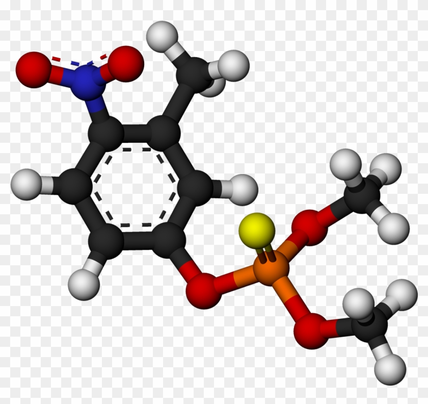 Fenitrotion #1278871