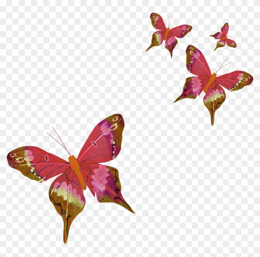 Volodifarfalle Volodifarfalle1 Tubes Papillon Png Free Transparent Png Clipart Images Download